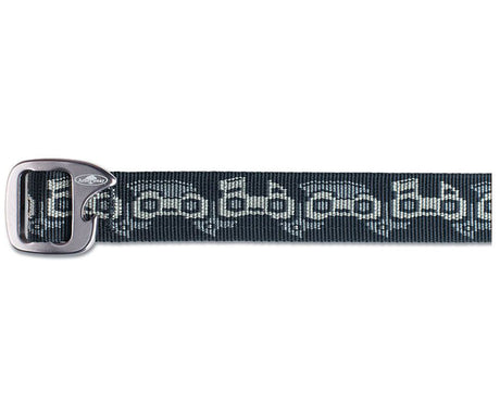 After Hours Belt in Chain color from the front view