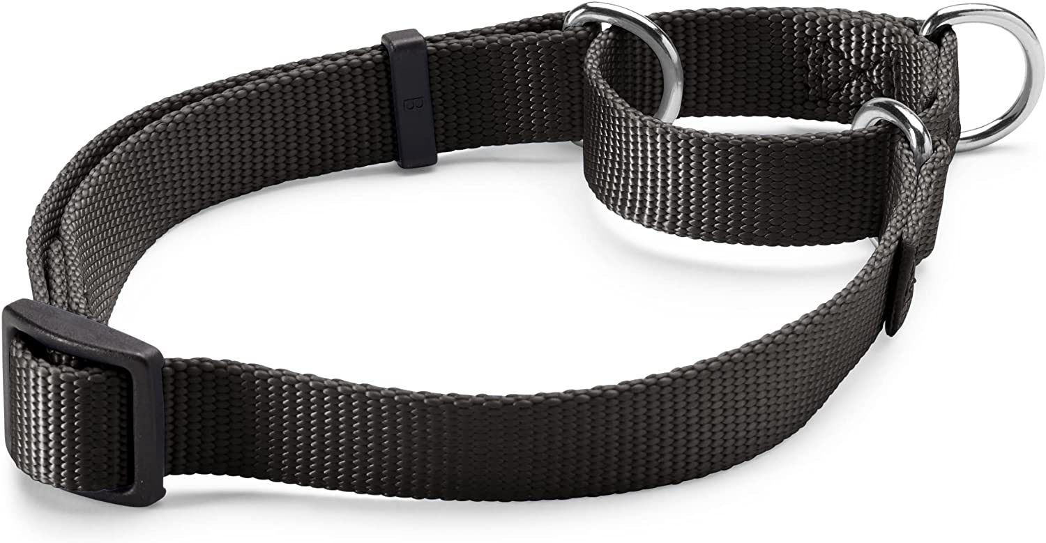 Orvis Personalized Martingale No-Pull Collar in Black