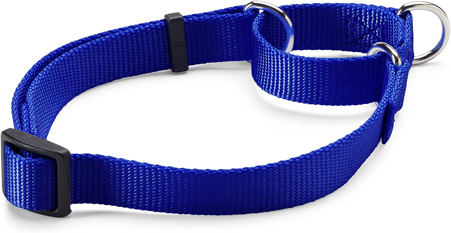 Orvis Personalized Martingale No-Pull Collar in Blue