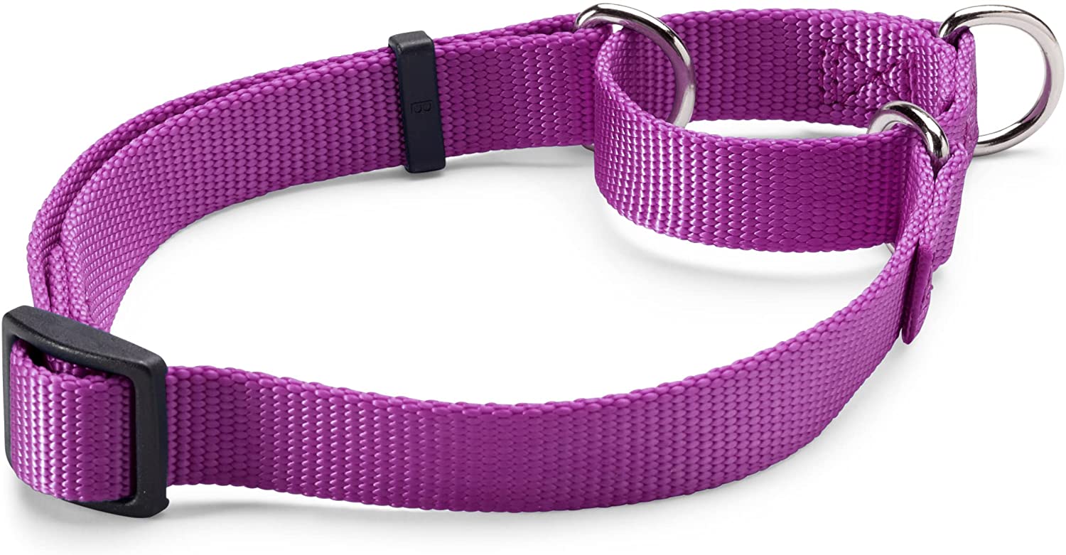 Orvis Personalized Martingale No-Pull Collar in Orchid