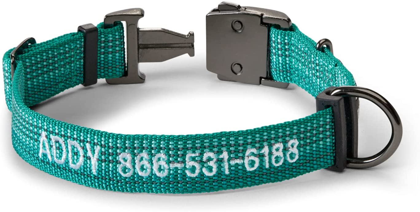 Orvis Tough Trail Dog Collar in Teal