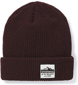 Unisex Smartwool Smartwool Logo Beanie in Woodsmoke